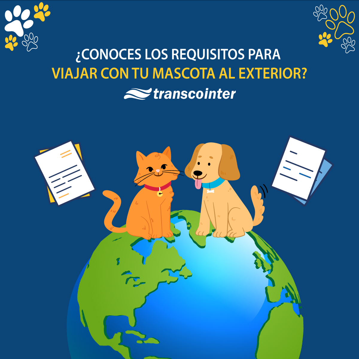 Requisitos Para Viajar Al Exterior Con Tu Mascota