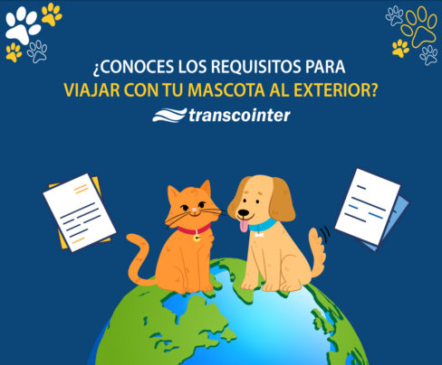 Requisitos Para Viajar Al Exterior Con Tu Mascota